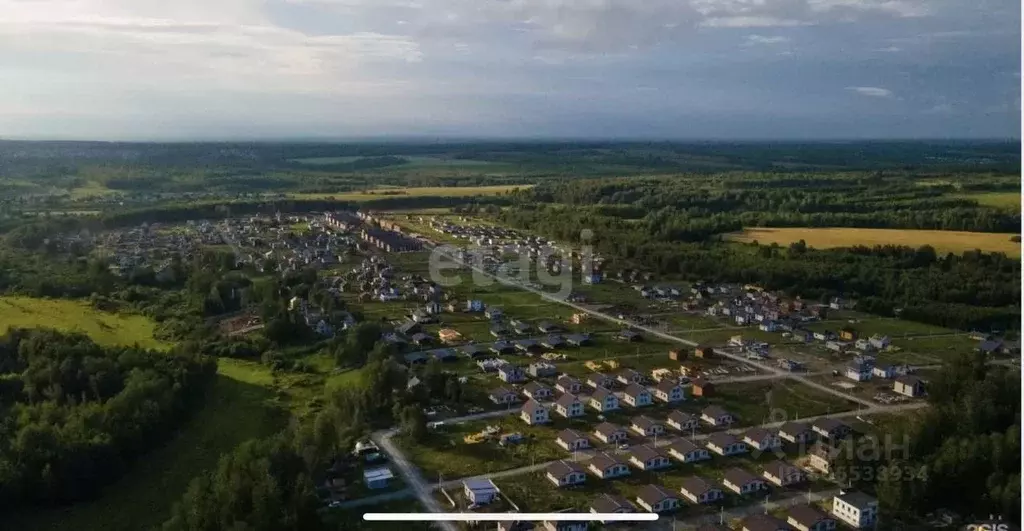 Участок в Новосибирская область, Новосибирский район, Каменский ... - Фото 1