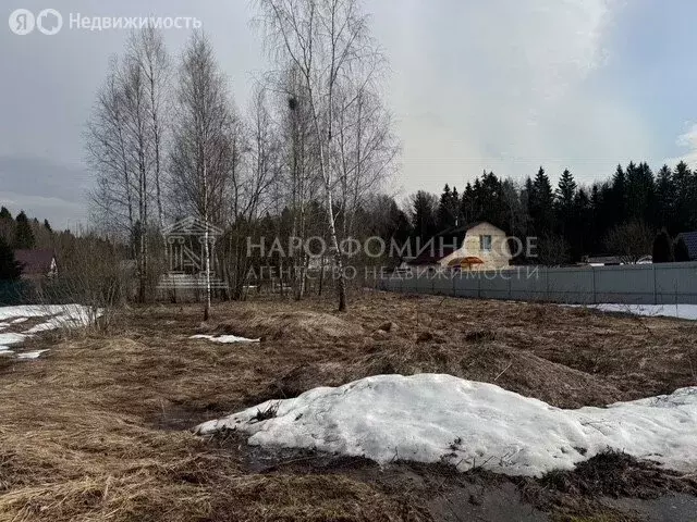 Участок в Наро-Фоминский городской округ, садоводческое некоммерческое ... - Фото 2