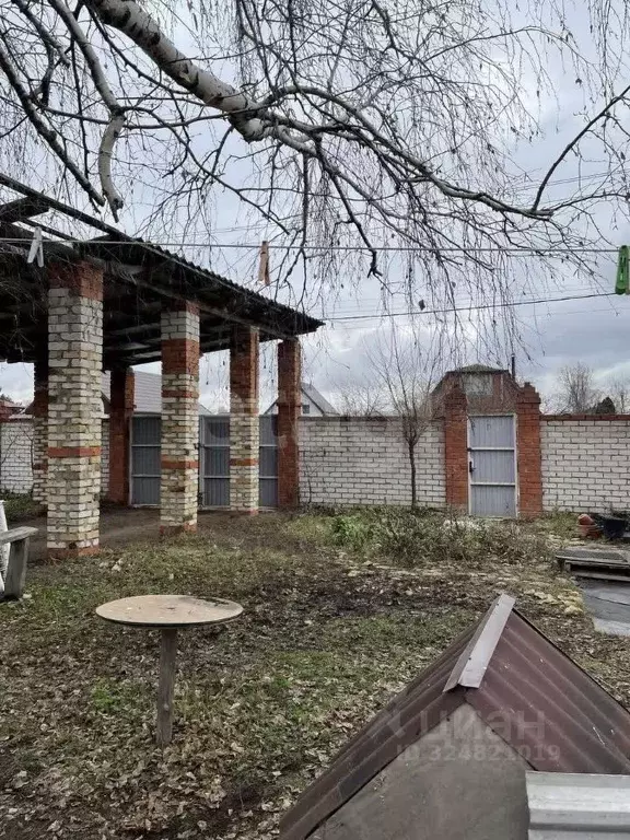 Участок в Воронежская область, Рамонский район, Новоживотинновское ... - Фото 2