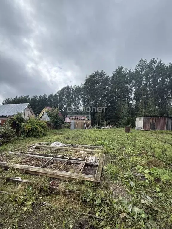 Дом в Архангельская область, Коряжма Строитель-2 СНТ, ул. Дачная, 9 ... - Фото 2