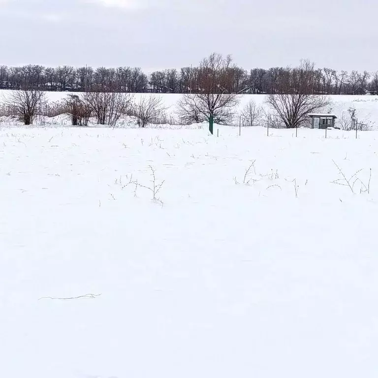 Участок в Краснодарский край, Тимашевский район, Медведовское с/пос, ... - Фото 1