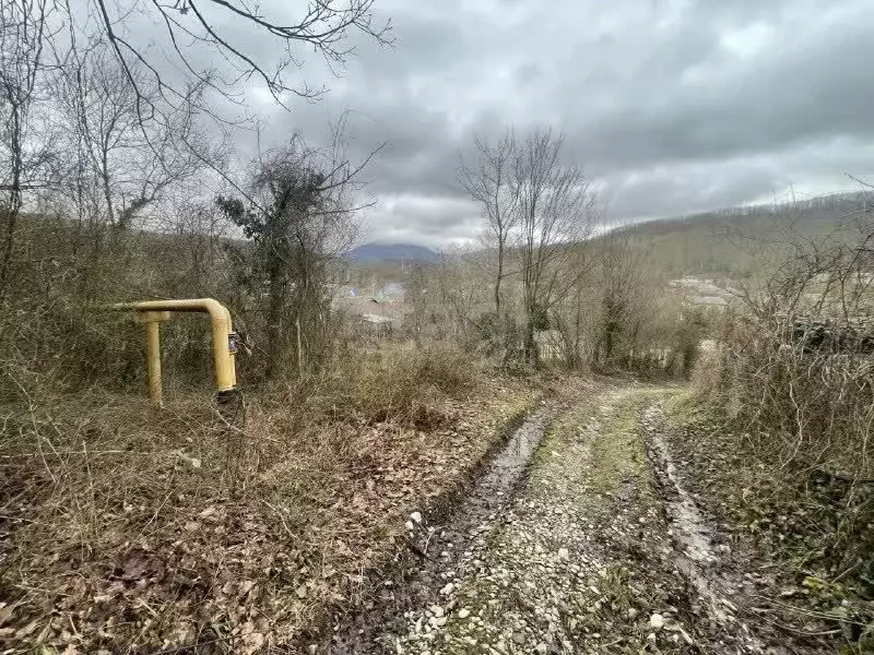 Участок в Краснодарский край, Геленджик городской округ, с. Пшада  ... - Фото 1