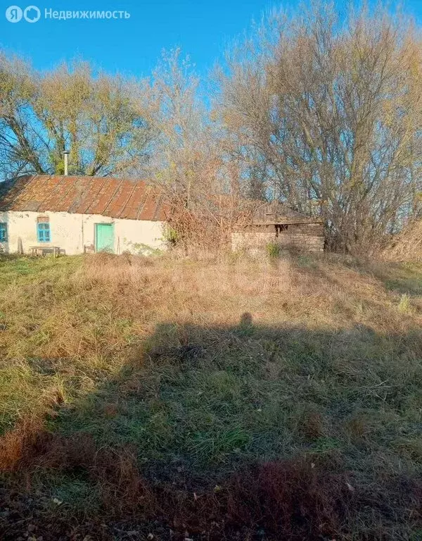 Дом в деревня Николаевка, улица Николаевка (46 м) - Фото 2