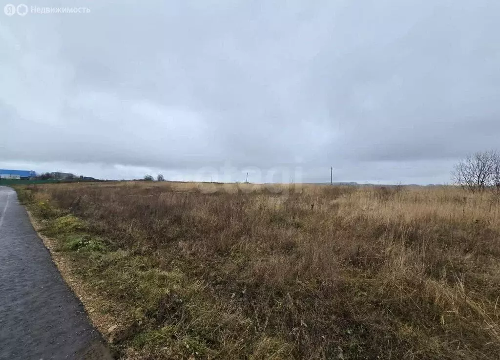 Участок в Зеленодольский район, Большеякинское сельское поселение, ... - Фото 2