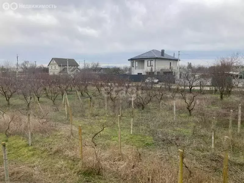 Участок в Яркое Поле, Брянская улица, 18 (10.4 м) - Фото 2