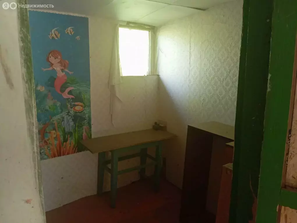 Дом в Широчанка, садовое товарищество Строитель (50 м) - Фото 1