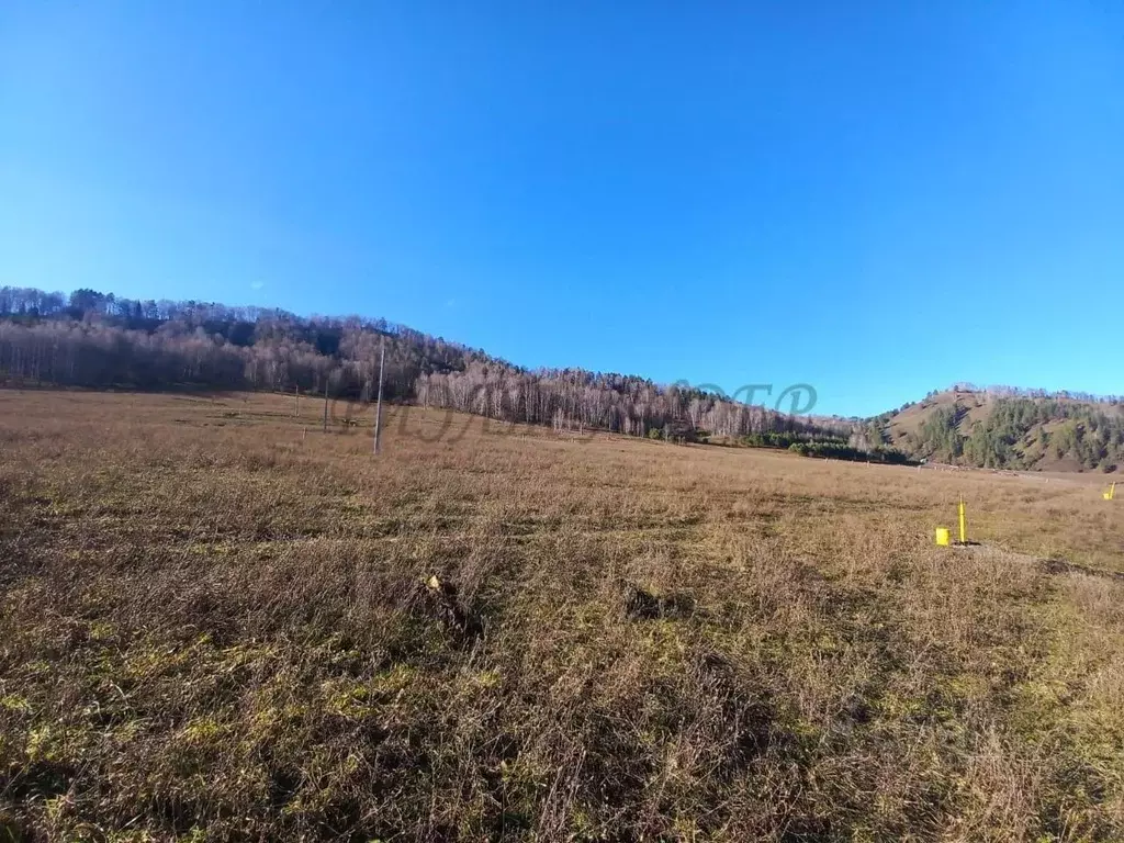 Участок в Алтай, Майминский район, с. Бирюля ул. Светлая, 61 (10.0 ... - Фото 2