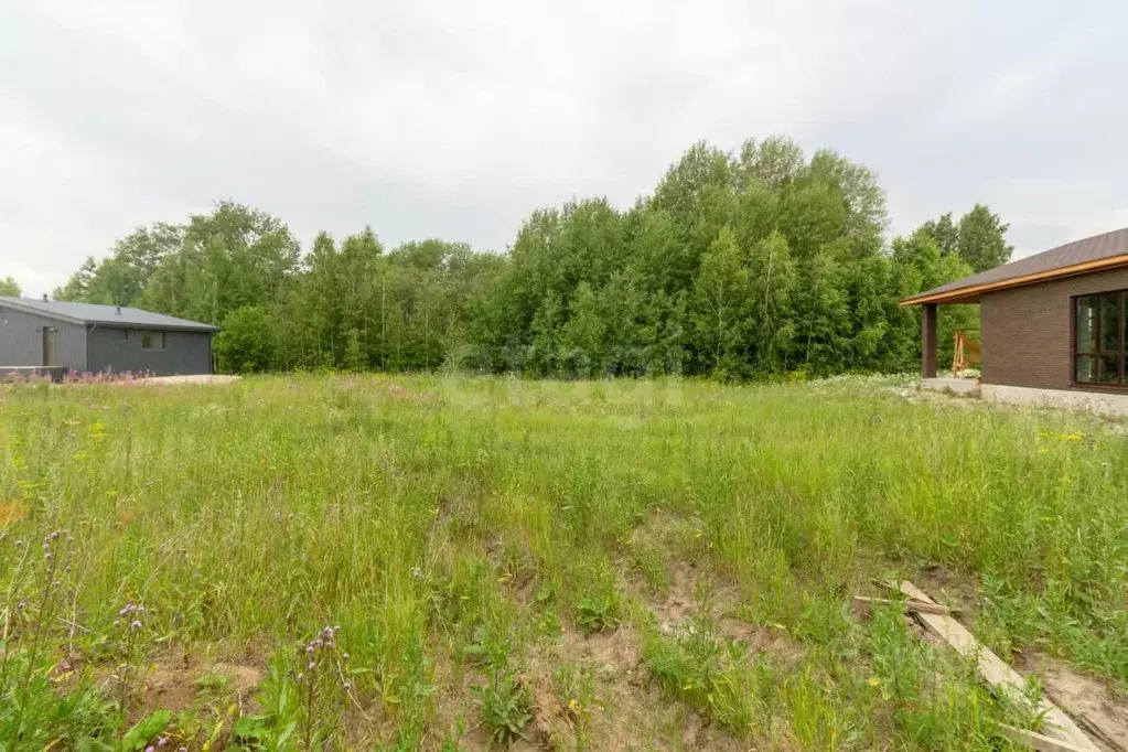 Участок в Тюменская область, Тюменский муниципальный округ, ... - Фото 0