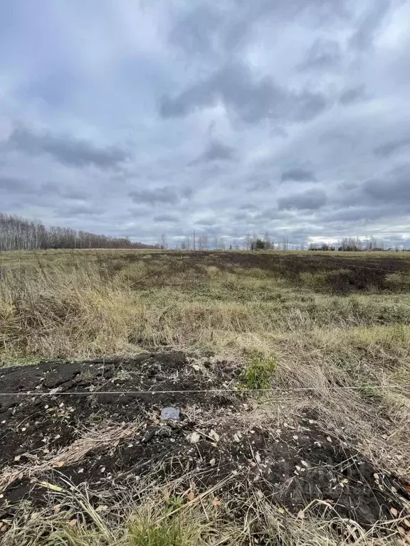 Участок в Чувашия, Чебоксарский муниципальный округ, д. Микши-Энзей ... - Фото 0