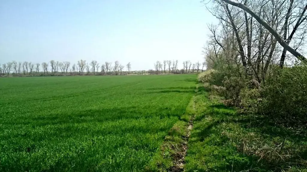 Участок в Краснодарский край, Кореновское городское поселение  (3.0 ... - Фото 0