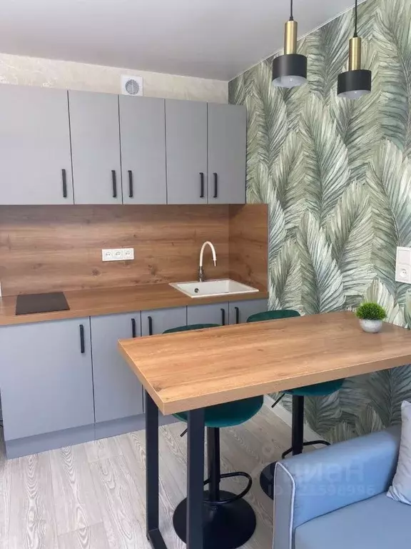 Студия Воронежская область, Воронеж ул. Лидии Рябцевой, 55 (17.0 м) - Фото 1