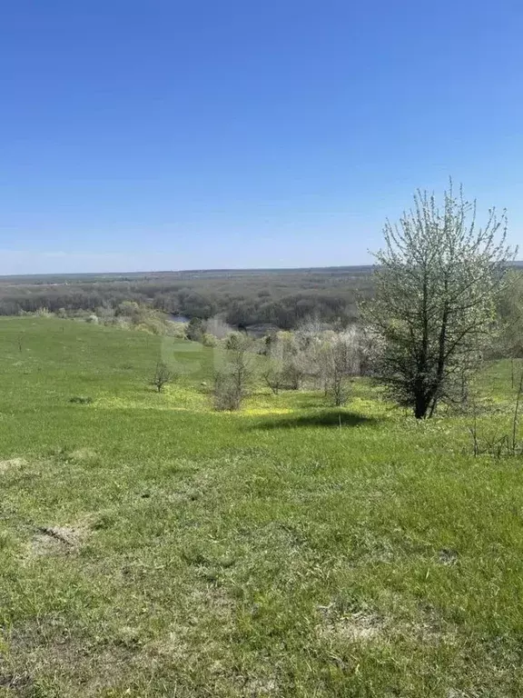 Участок в Воронежская область, Новоусманский район, Хреновское с/пос, ... - Фото 2