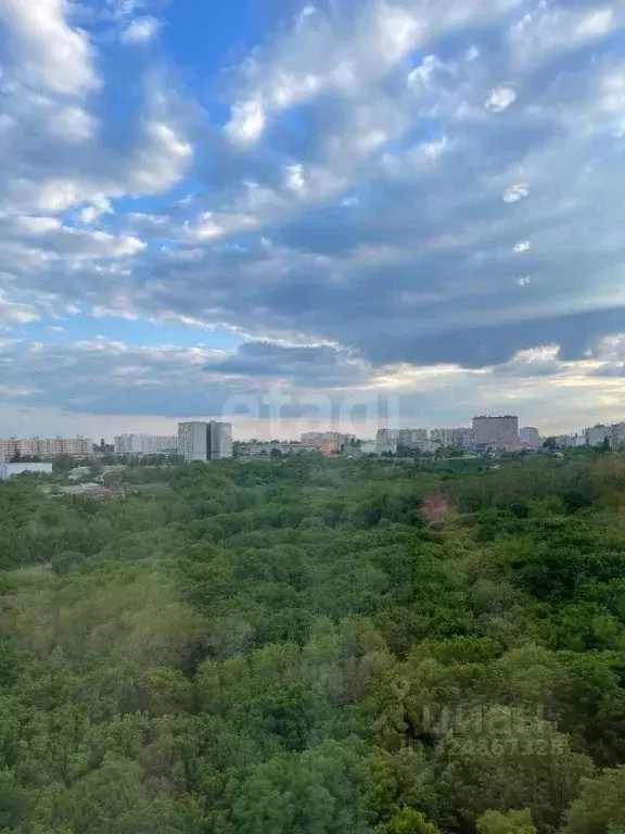 Участок в Ростовская область, Азовский район, Обильненское с/пос, ... - Фото 1