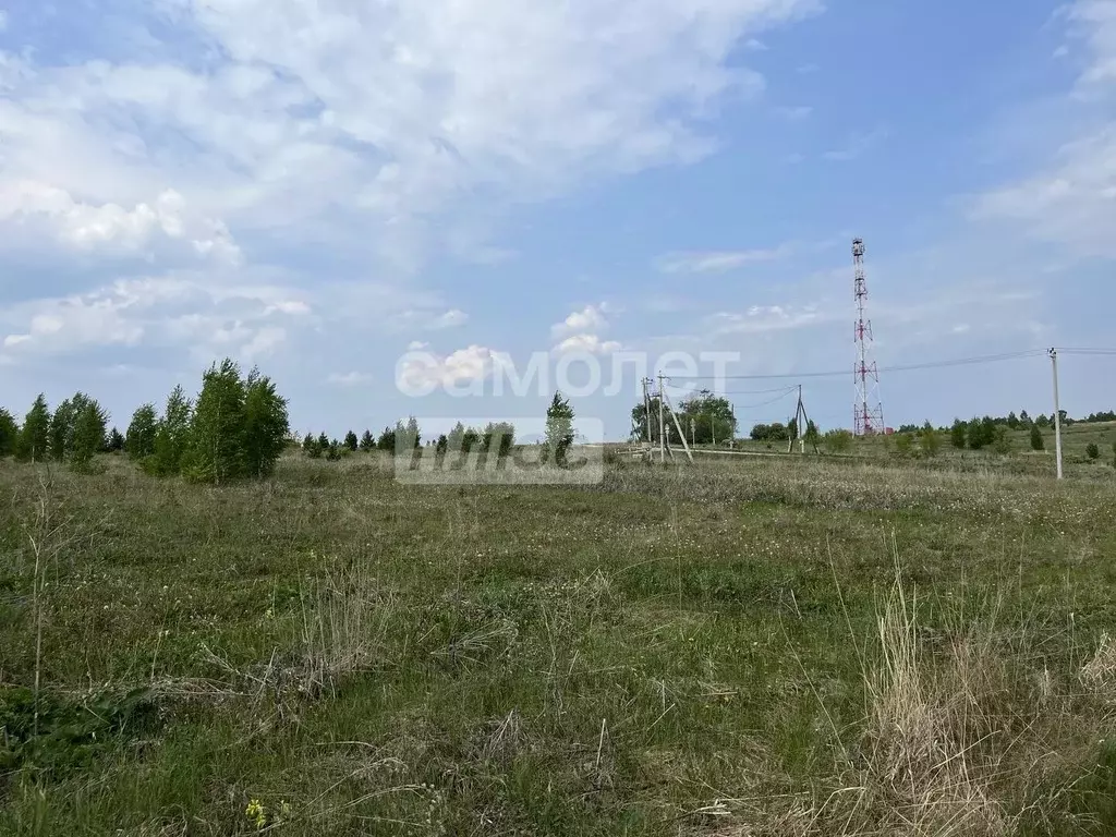 Участок в Свердловская область, Арти пгт ул. Ленина (14.23 сот.) - Фото 1