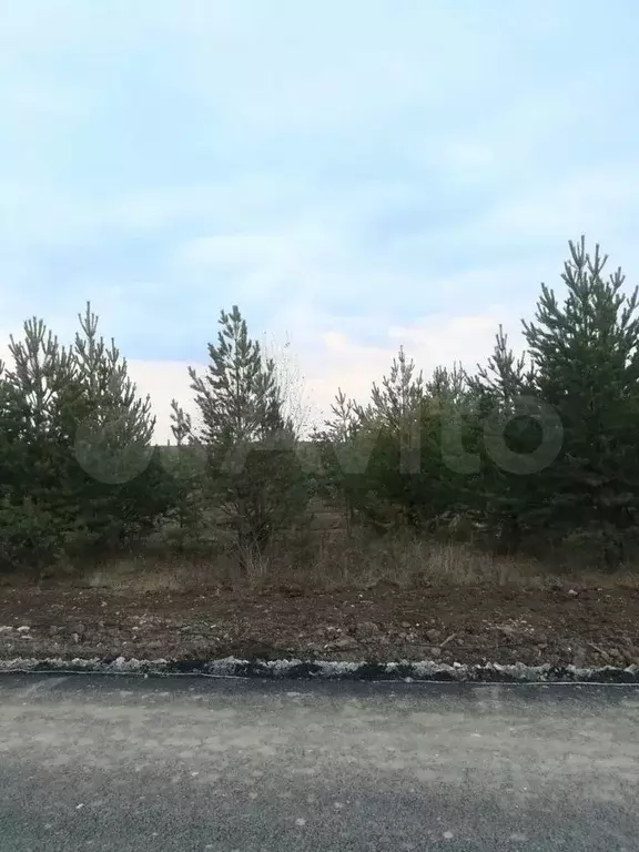 Участок 6,6 сот. (ИЖС) - Фото 1