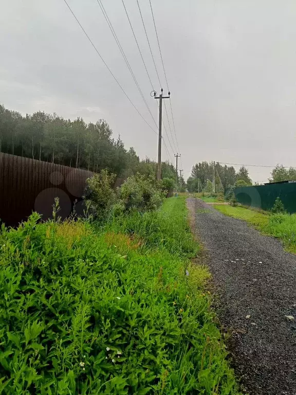 Участок 12 сот. (СНТ, ДНП) - Фото 0