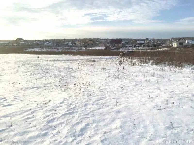 Участок в Белгородская область, Валуйский городской округ, с. Майское  ... - Фото 1