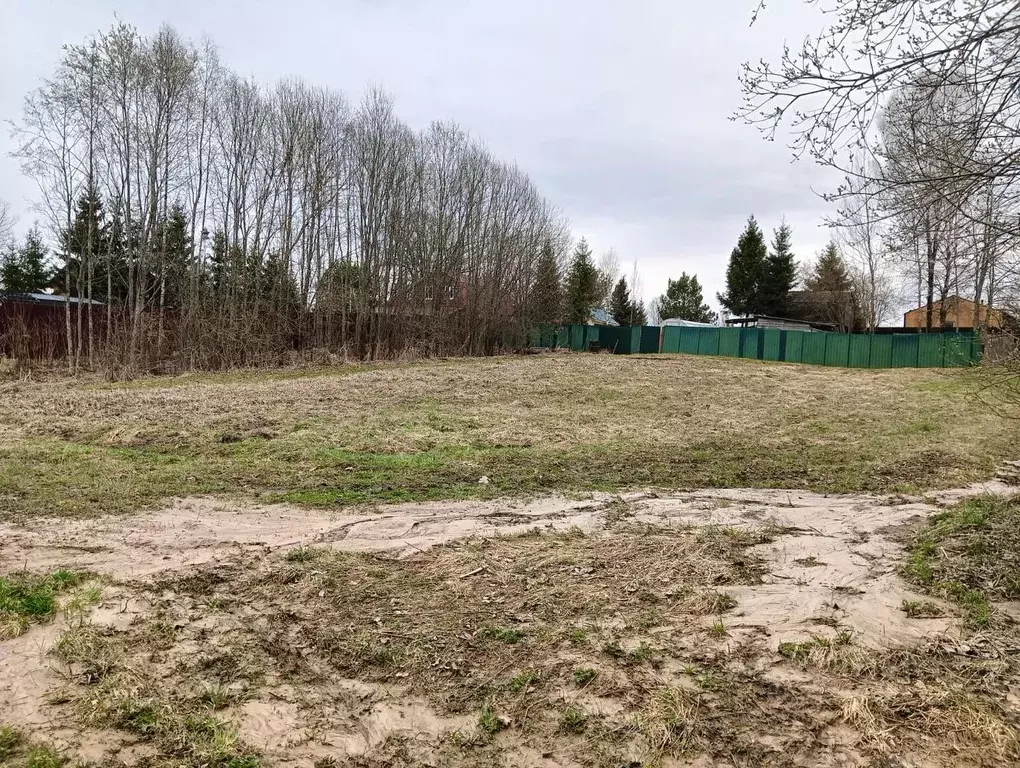 Участок в Московская область, Клин городской округ, д. Спасское  (8.2 ... - Фото 1