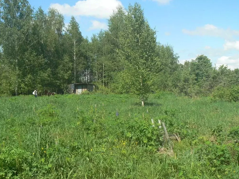 Участок в Владимирская область, Судогодский район, Вяткинское ... - Фото 0