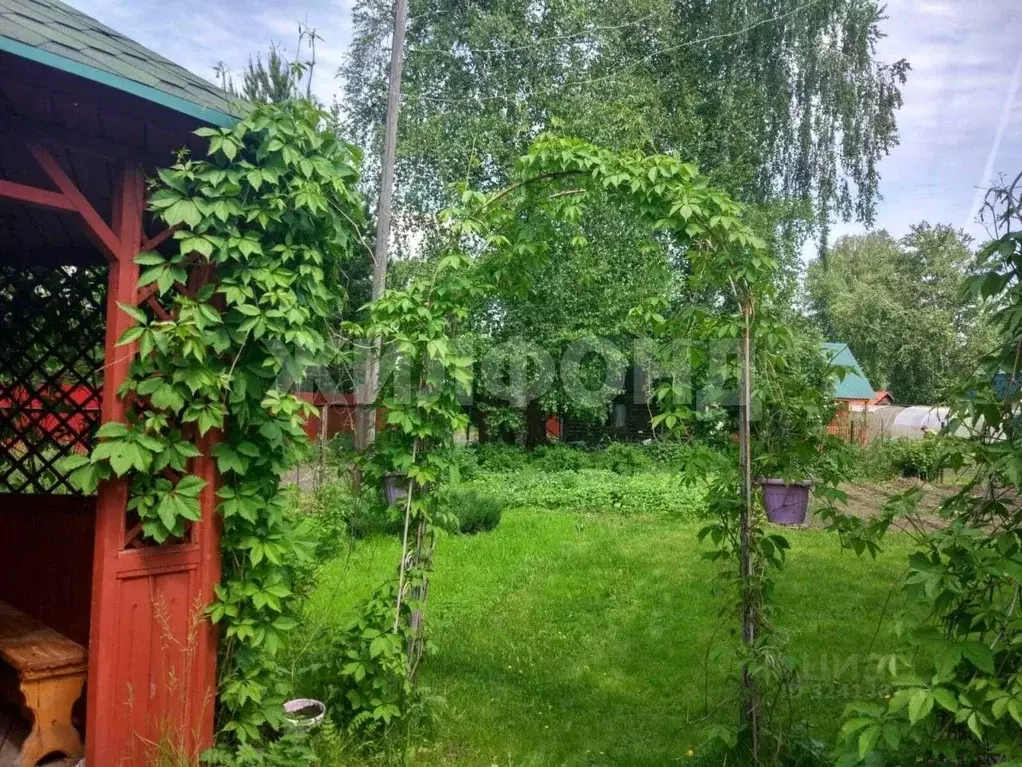 Дом в Новосибирская область, Новосибирский район, Новолуговской ... - Фото 2