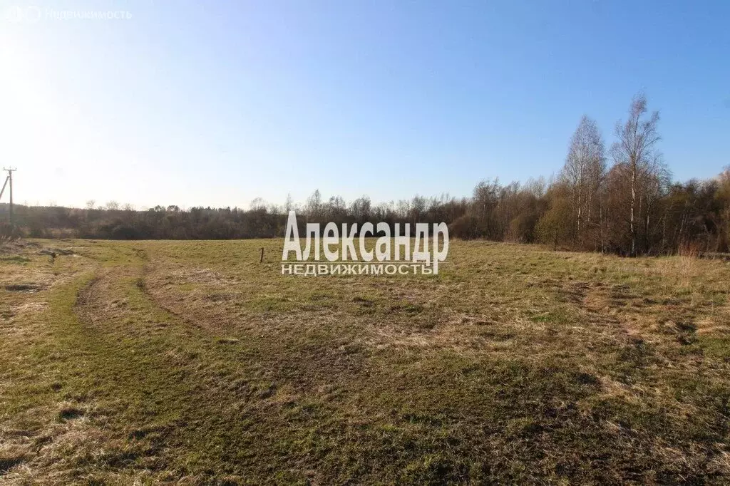 Участок в Выборгский район, Каменногорское городское поселение, ... - Фото 1