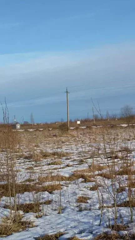 Участок в Новгородская область, Новгородский район, Ракомское с/пос, ... - Фото 0