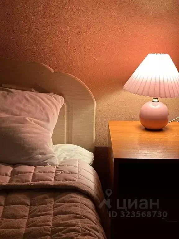 Комната Санкт-Петербург ул. Белинского, 8 - Фото 2