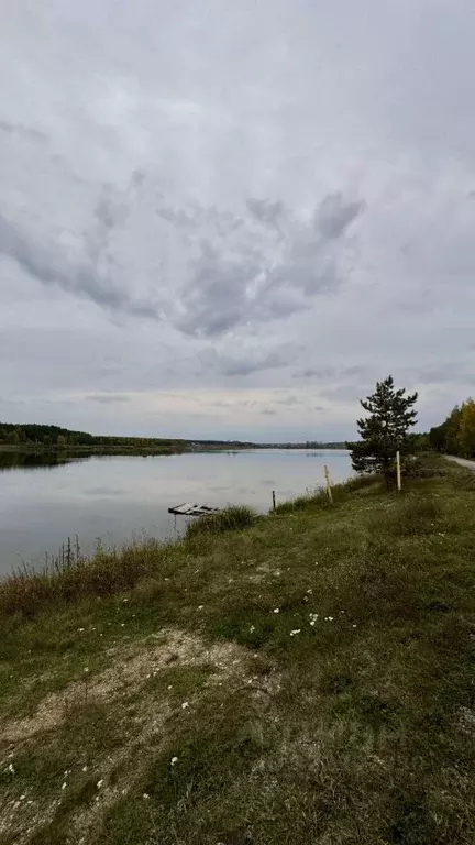 Дом в Свердловская область, Богданович муниципальный округ, с. ... - Фото 2