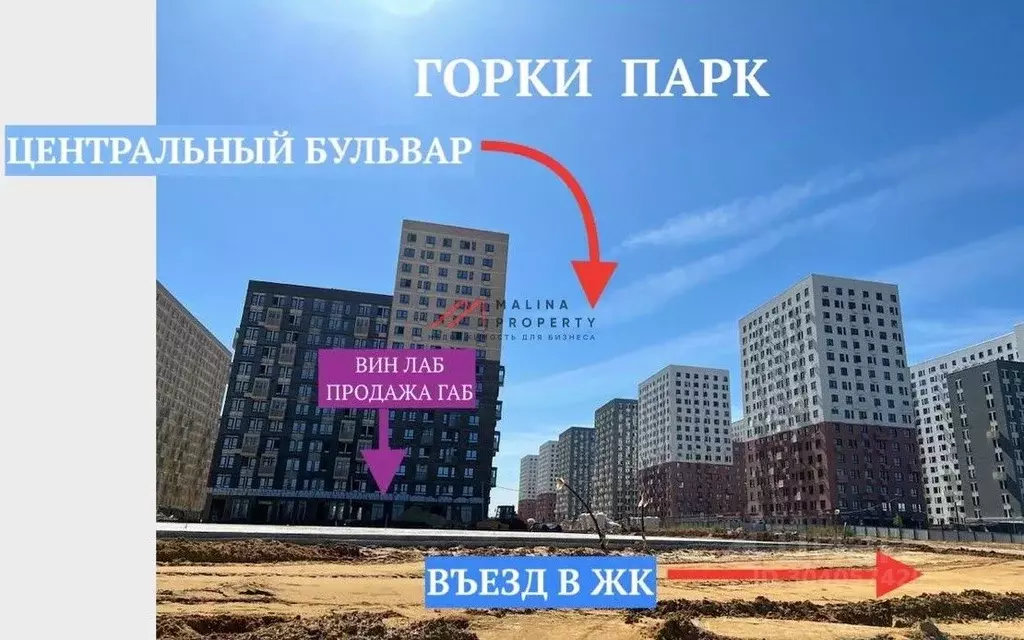 Торговая площадь в Московская область, Ленинский городской округ, д. ... - Фото 0