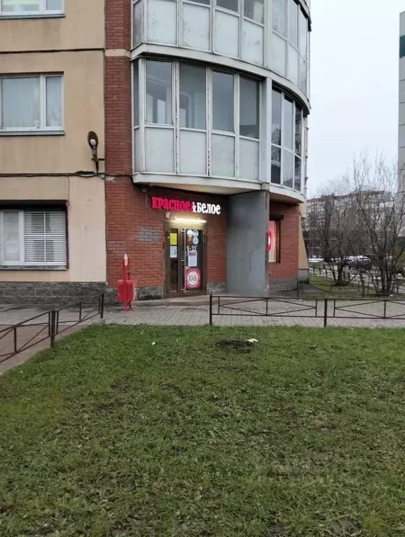 Торговая площадь в Санкт-Петербург просп. Королева, 43К1 (93 м) - Фото 2