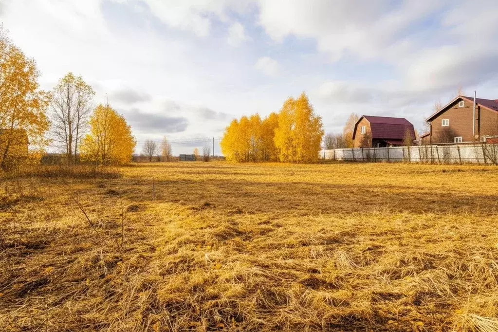 Участок в Владимирская область, Александровский муниципальный округ, ... - Фото 1