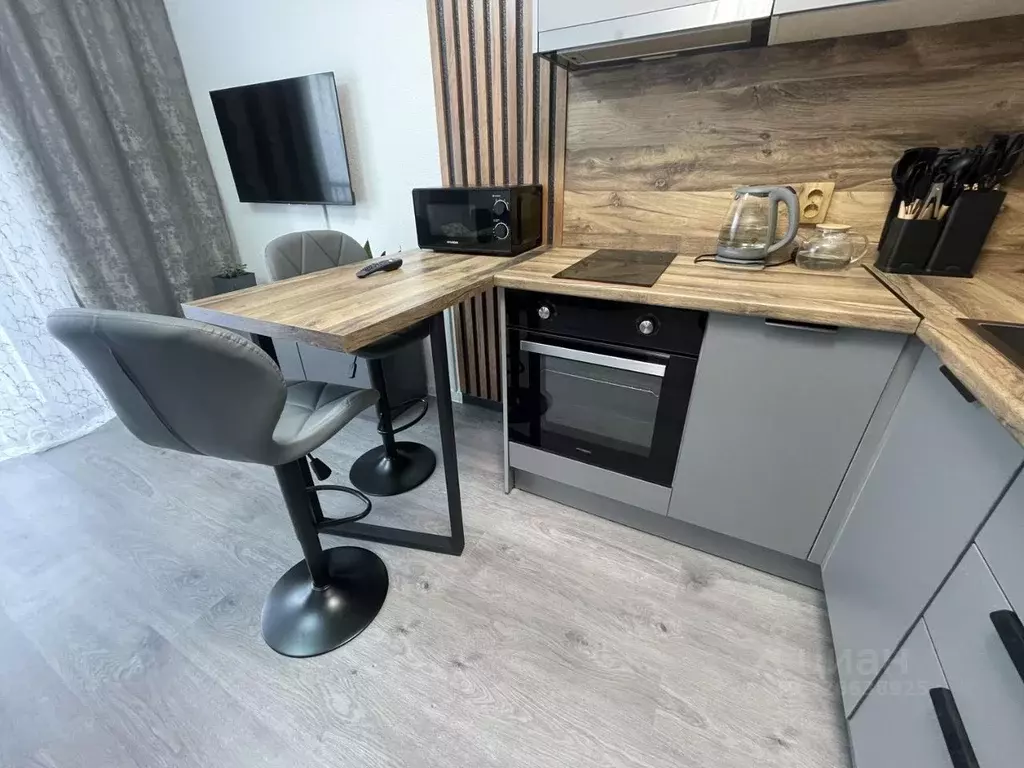 Студия Ленинградская область, Всеволожский район, пос. Бугры ул. ... - Фото 2