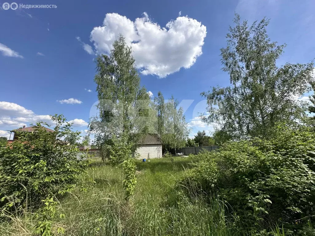 Участок в деревня Заболотье, Песчаная улица, 6 (13 м) - Фото 0