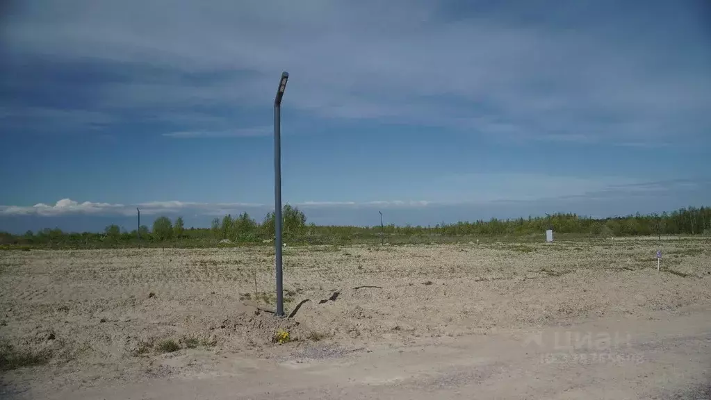 Участок в Ленинградская область, Всеволожский район, Колтушское ... - Фото 2