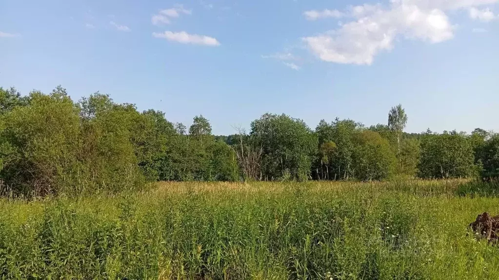 Участок в Вологодская область, Кирилловский муниципальный округ, д. ... - Фото 2