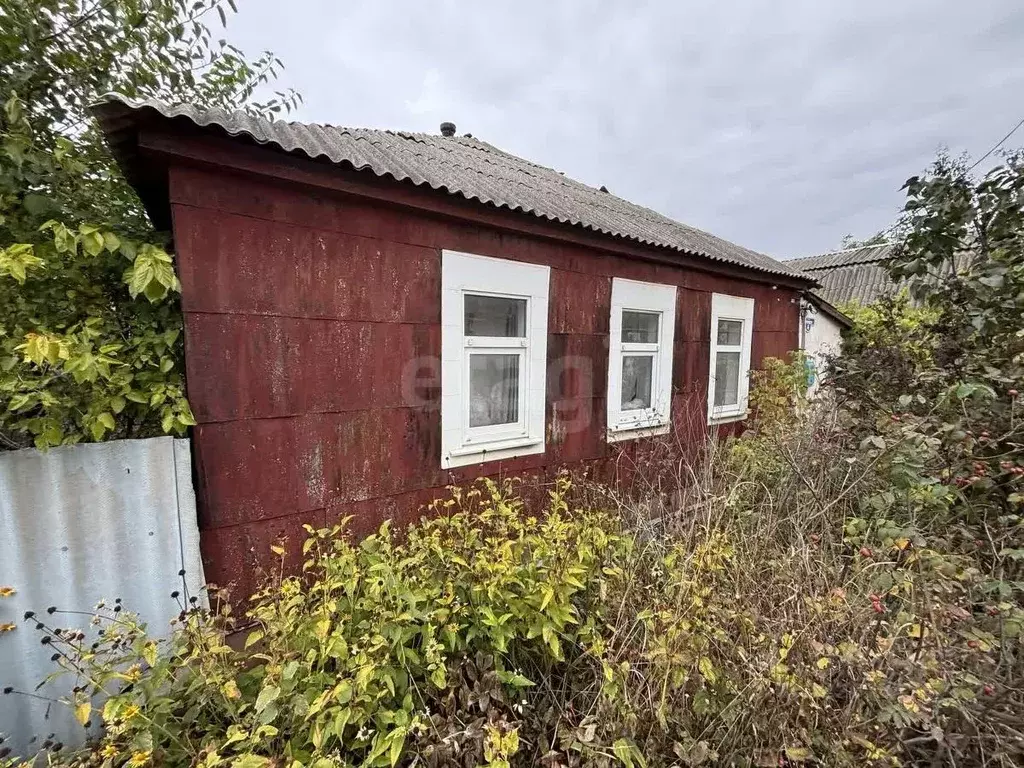 Дом в Белгородская область, Валуйки ул. Курячего, 4 (41 м) - Фото 1
