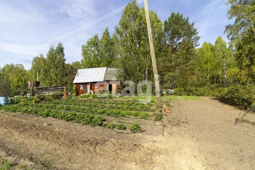 Дом в Тюменская область, Тюменский район, Лесник-2 СНТ  (48 м) - Фото 1