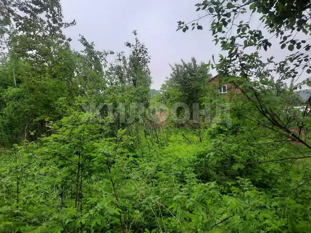 Дом в Новосибирская область, Новосибирск Золотая Горка СНТ, аллея А ... - Фото 0