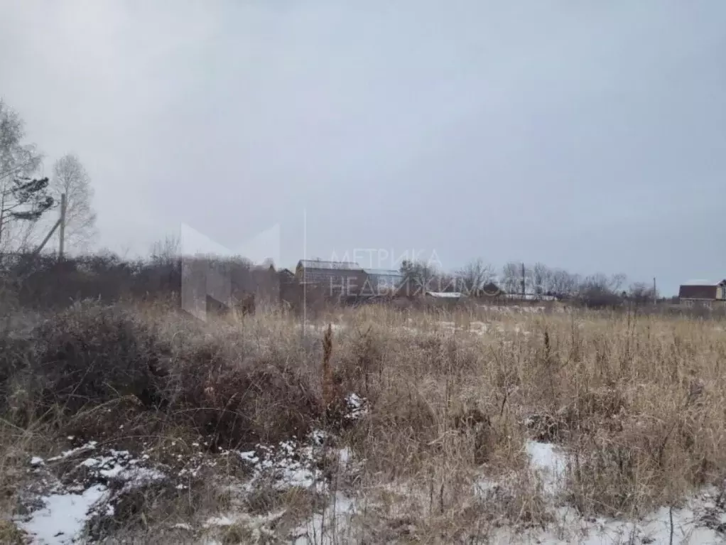 Участок в Тюменская область, Тюменский муниципальный округ, ... - Фото 1