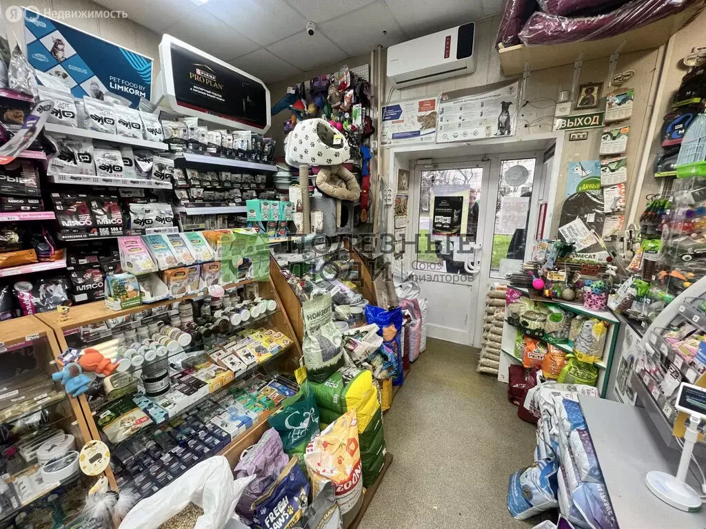 Помещение свободного назначения (29.5 м) - Фото 1