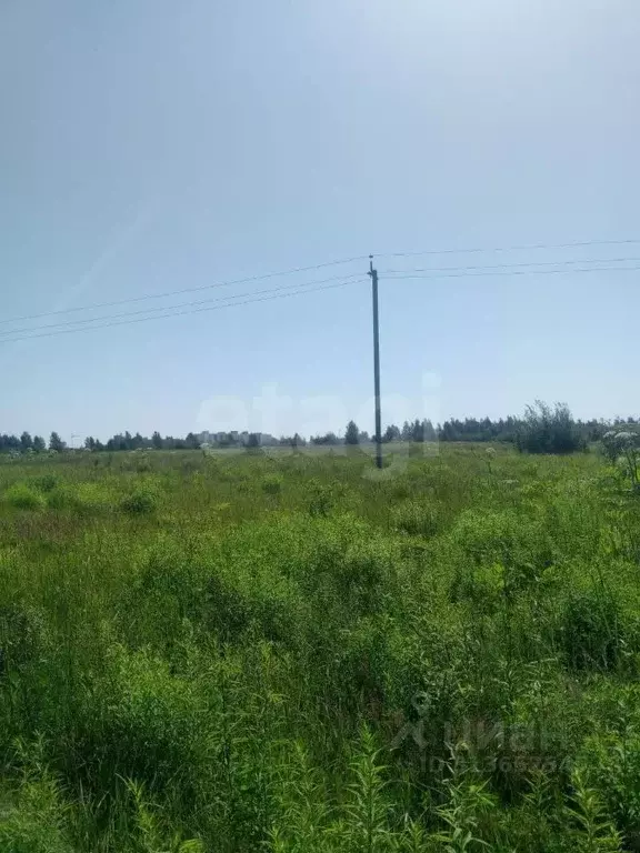 Участок в Псковская область, Псковский район, Завеличенская волость, ... - Фото 1