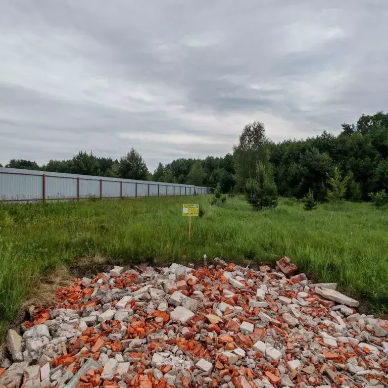 Участок в Московская область, Богородский городской округ, Следово кп ... - Фото 1