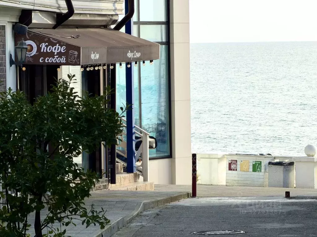 1-к кв. Краснодарский край, Сочи ул. Черноморская, 5 (59.2 м) - Фото 1