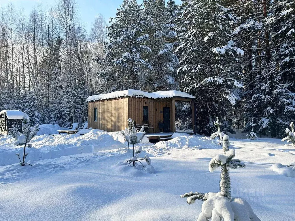 Дом в Московская область, Егорьевск городской округ, д. Анненка 12 (30 ... - Фото 0