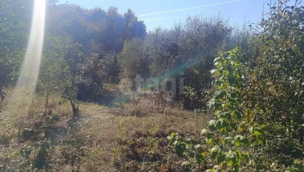 Участок в Саратовская область, Балашов Пугачевская ул., 17литЗ (10.0 ... - Фото 1