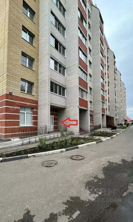 Офис в Тамбовская область, Тамбов ул. Рылеева, 46 (33 м) - Фото 0