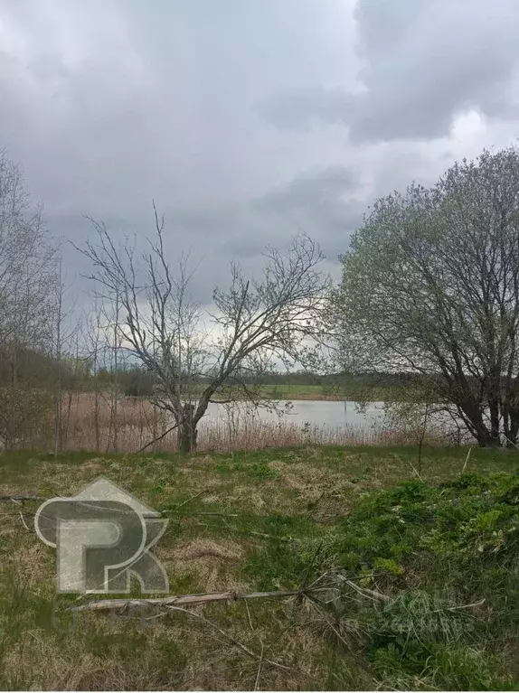 Участок в Московская область, Клин городской округ, д. Давыдково  ... - Фото 1