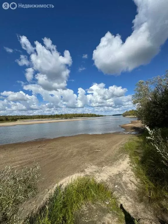 Участок в Новосибирский район, село Кубовая (12 м) - Фото 1