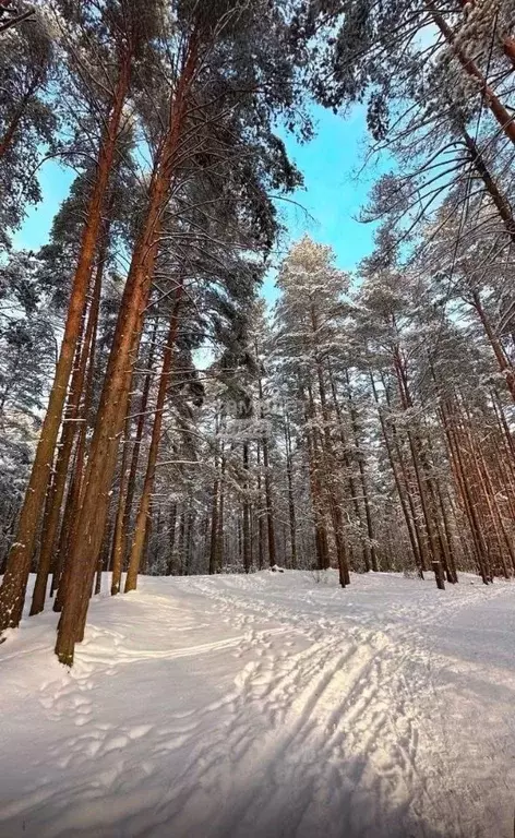 Участок в Ярославская область, Ярославский район, Заволжское с/пос, д. ... - Фото 0