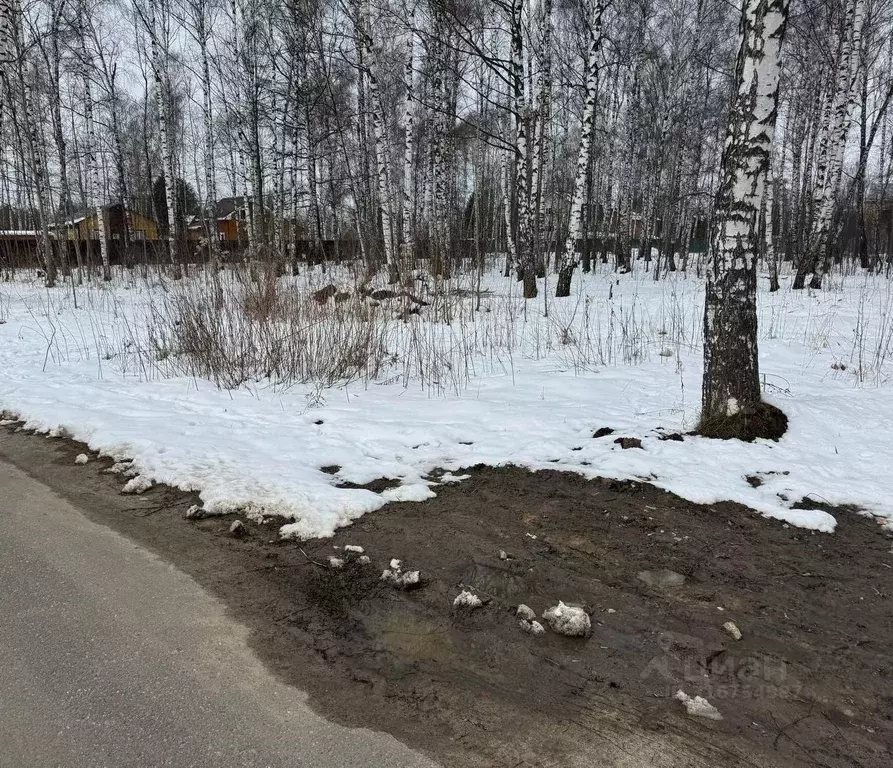 Участок в Московская область, Богородский городской округ, имени ... - Фото 0